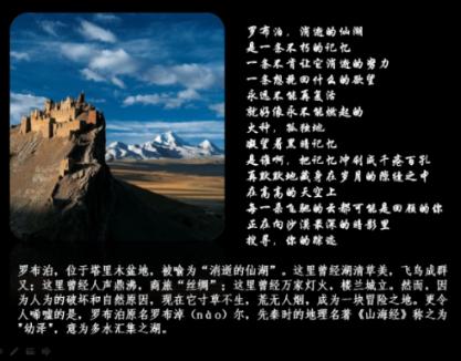用志愿服务诠释“别样浪漫”