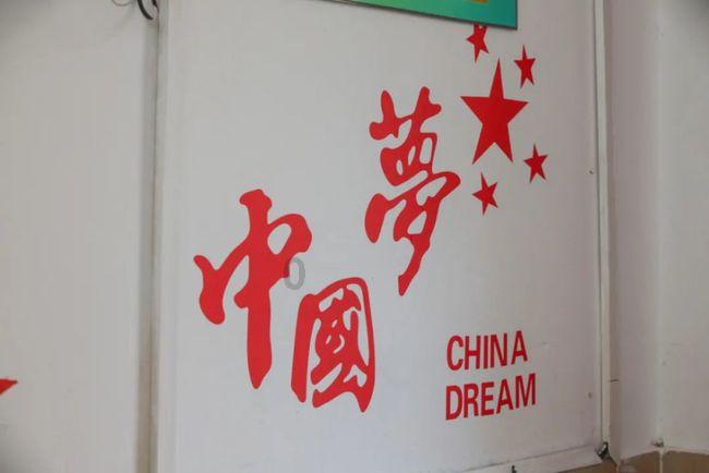 救援猫与武士